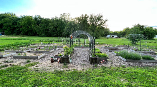 Welcome to Neverland Garden!